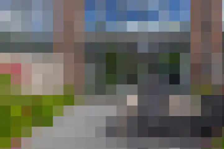Lelietuin 3 Bergschenhoek thumbnail 29