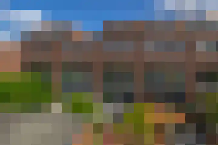 Lelietuin 3 Bergschenhoek thumbnail 33