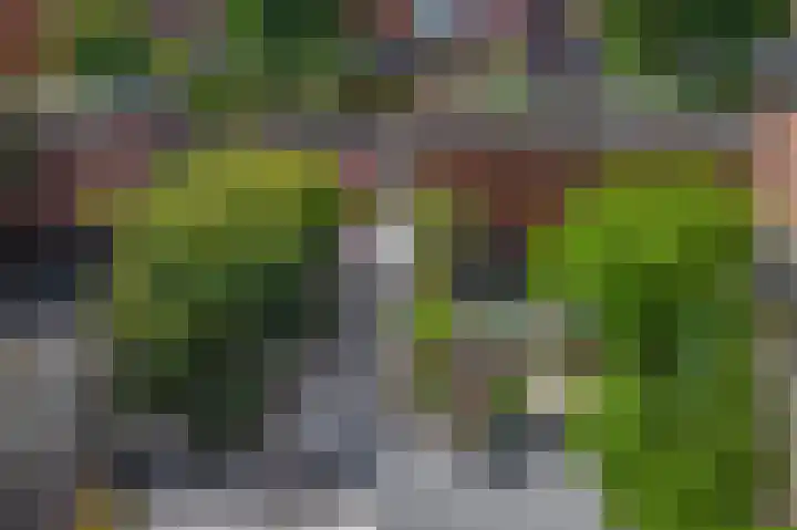 Lelietuin 3 Bergschenhoek thumbnail 34