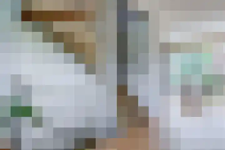 Lelietuin 3 Bergschenhoek thumbnail 35