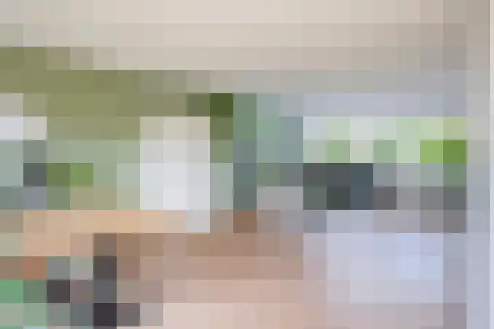 Lelietuin 3 Bergschenhoek thumbnail 36