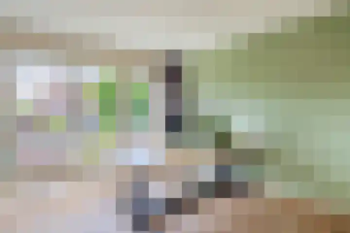 Lelietuin 3 Bergschenhoek thumbnail 37