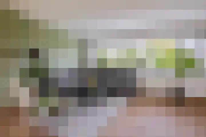 Lelietuin 3 Bergschenhoek thumbnail 38