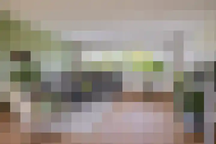 Lelietuin 3 Bergschenhoek thumbnail 4