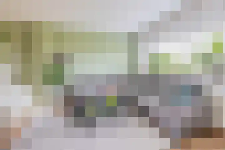 Lelietuin 3 Bergschenhoek thumbnail 40