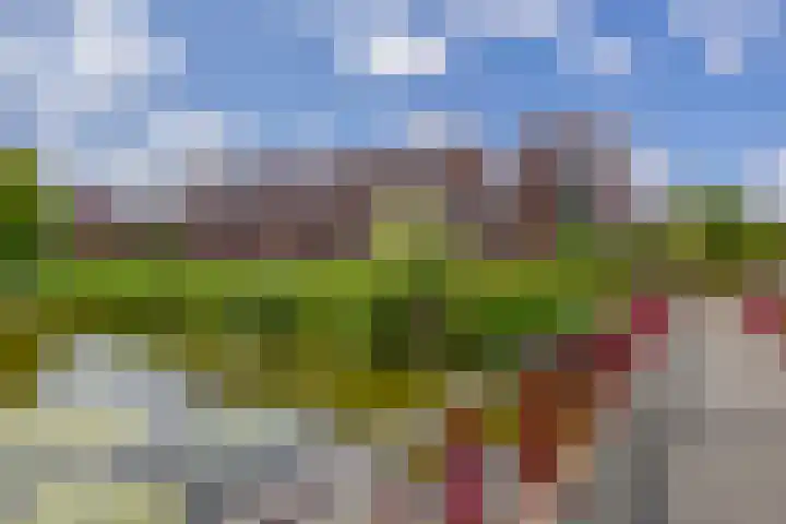 Lelietuin 3 Bergschenhoek thumbnail 5
