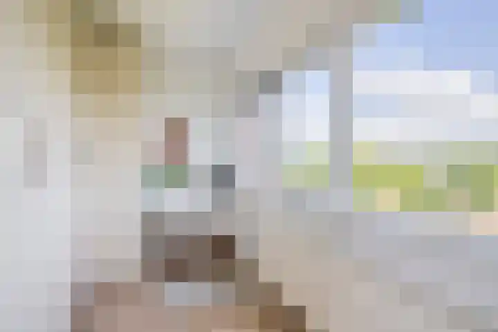 Lelietuin 3 Bergschenhoek thumbnail 55