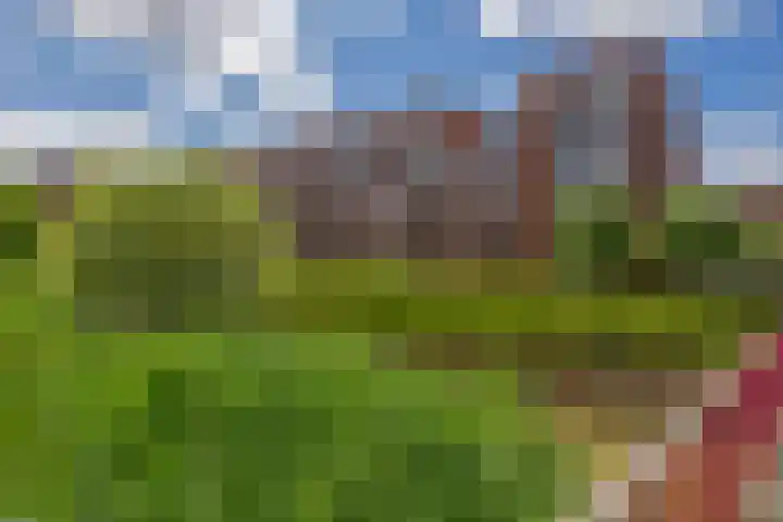 Lelietuin 3 Bergschenhoek thumbnail 6