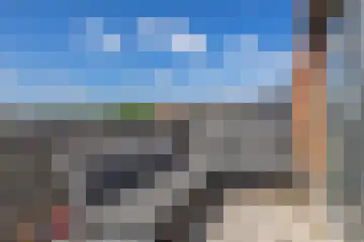 Lelietuin 3 Bergschenhoek thumbnail 60