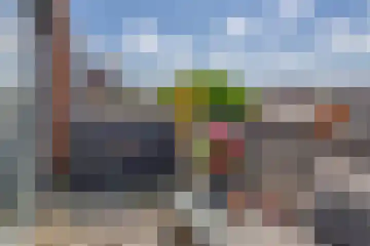 Lelietuin 3 Bergschenhoek thumbnail 62
