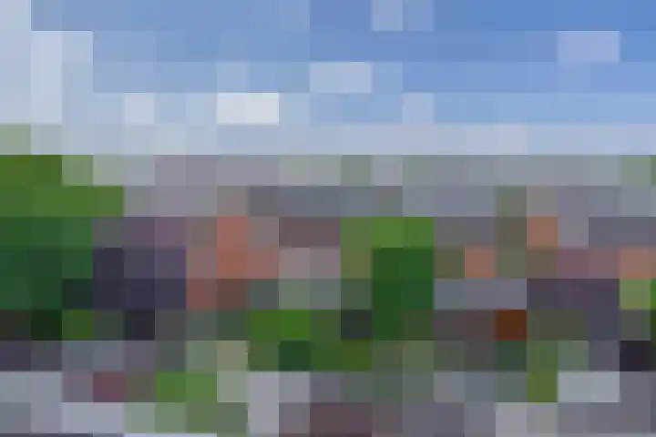 Lelietuin 3 Bergschenhoek thumbnail 64