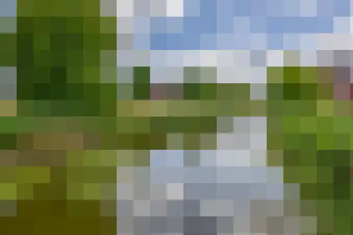 Lelietuin 3 Bergschenhoek thumbnail 65