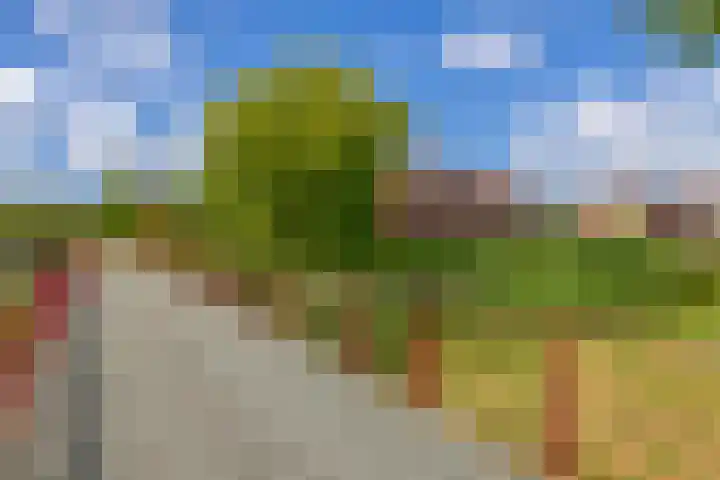Lelietuin 3 Bergschenhoek thumbnail 66