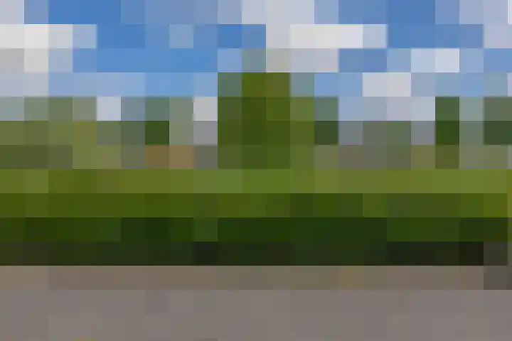 Lelietuin 3 Bergschenhoek thumbnail 67