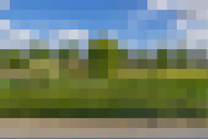 Lelietuin 3 Bergschenhoek thumbnail 68