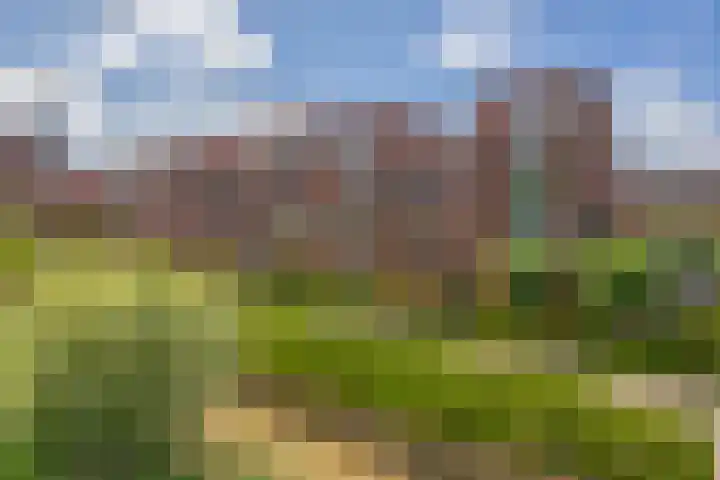 Lelietuin 3 Bergschenhoek thumbnail 7