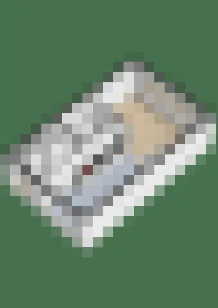 Lelietuin 3 Bergschenhoek thumbnail 70