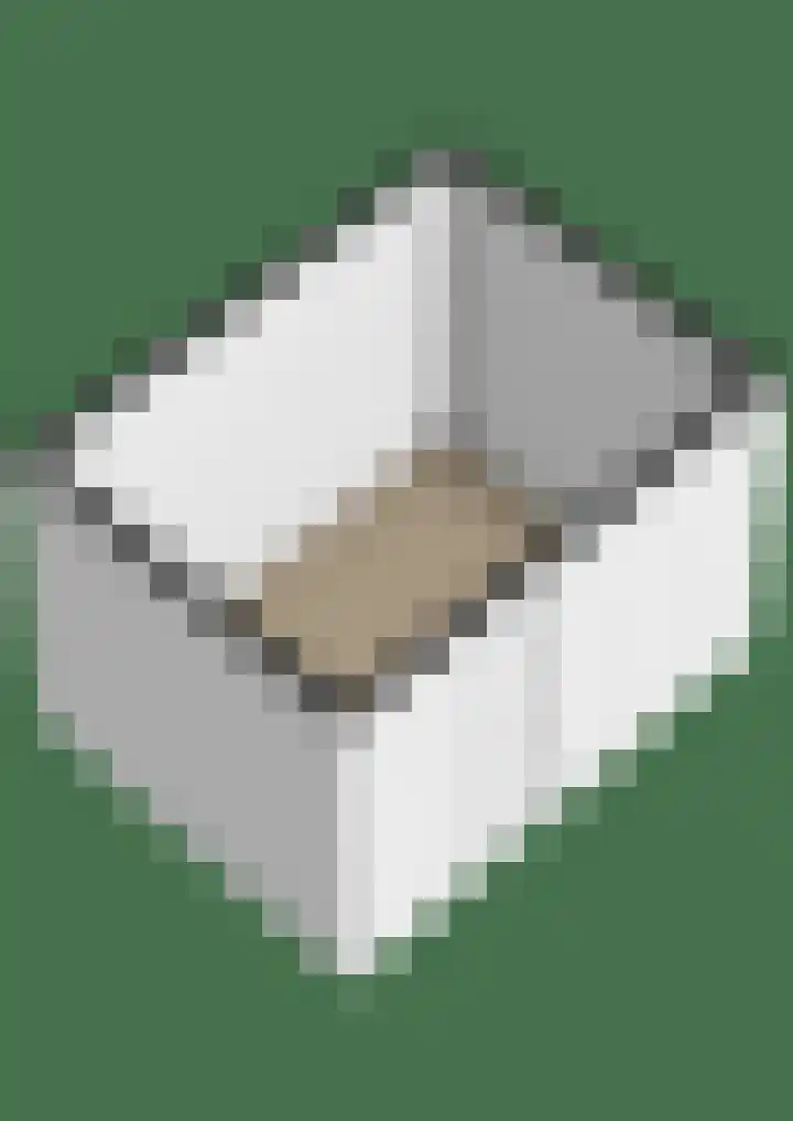 Lelietuin 3 Bergschenhoek thumbnail 72