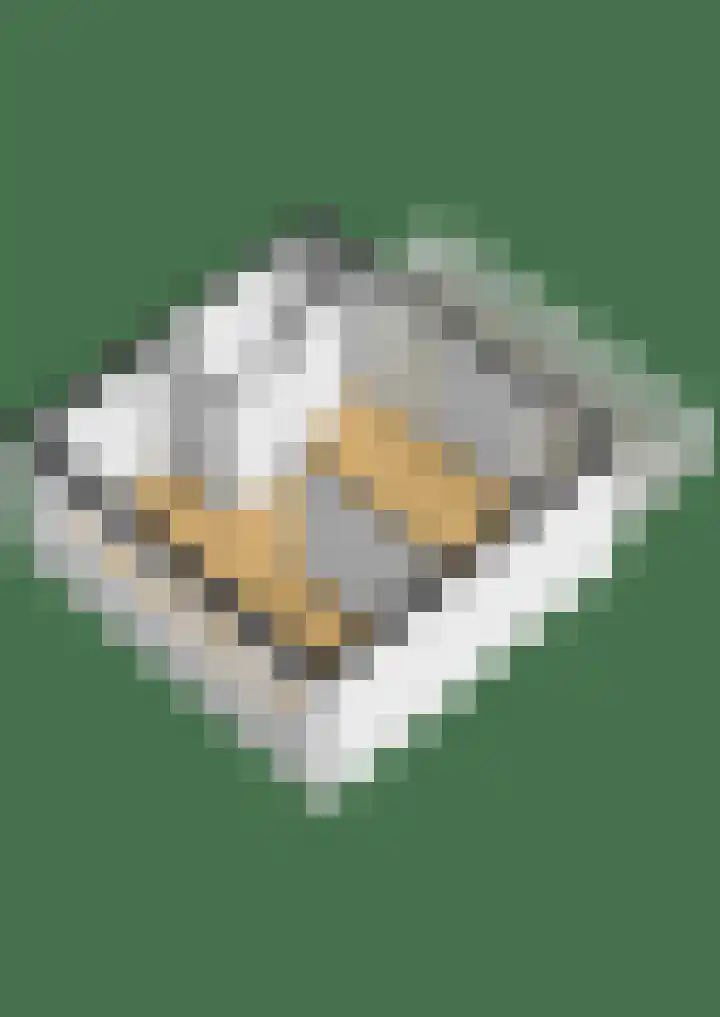 Lelietuin 3 Bergschenhoek thumbnail 74