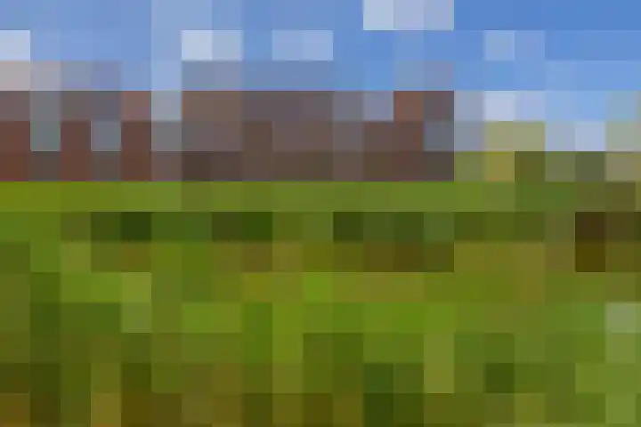 Lelietuin 3 Bergschenhoek thumbnail 8