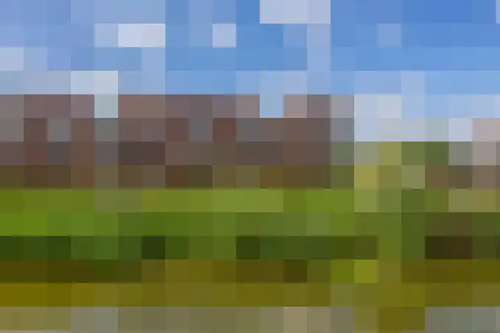 Lelietuin 3 Bergschenhoek thumbnail 9