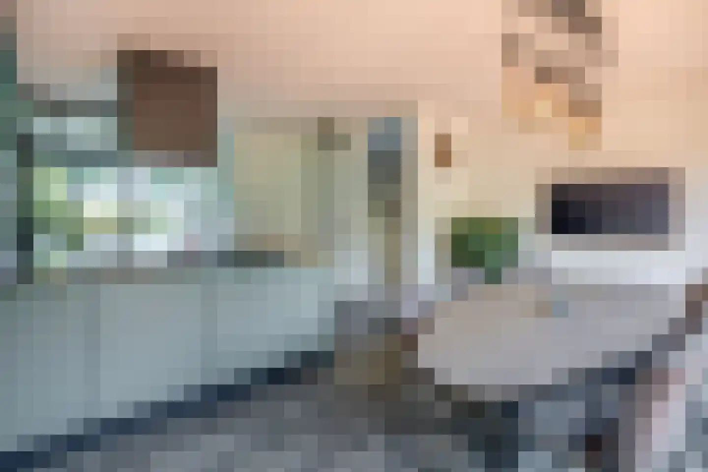 Lelietuin 4 Bergschenhoek thumbnail 16