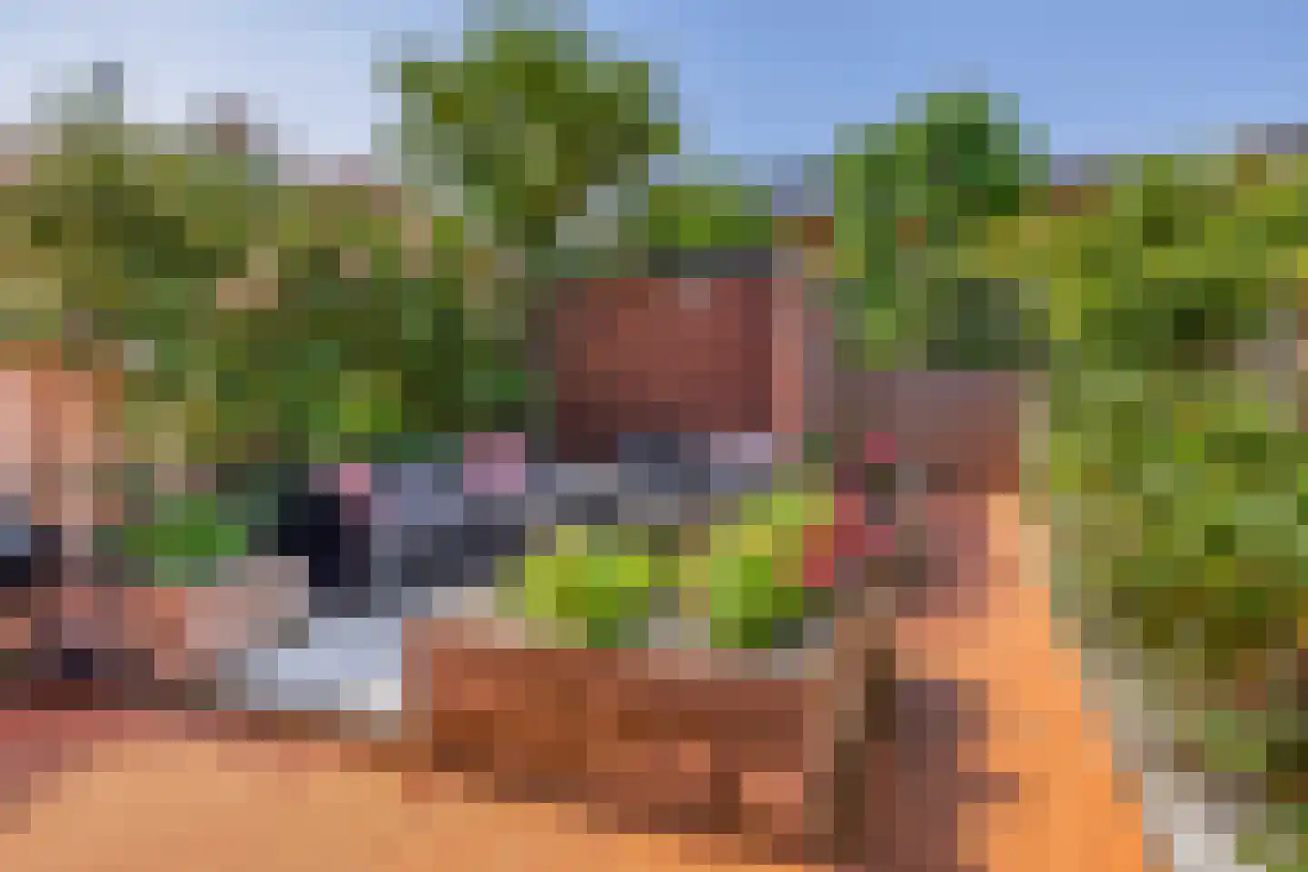 Lelietuin 4 Bergschenhoek thumbnail 18