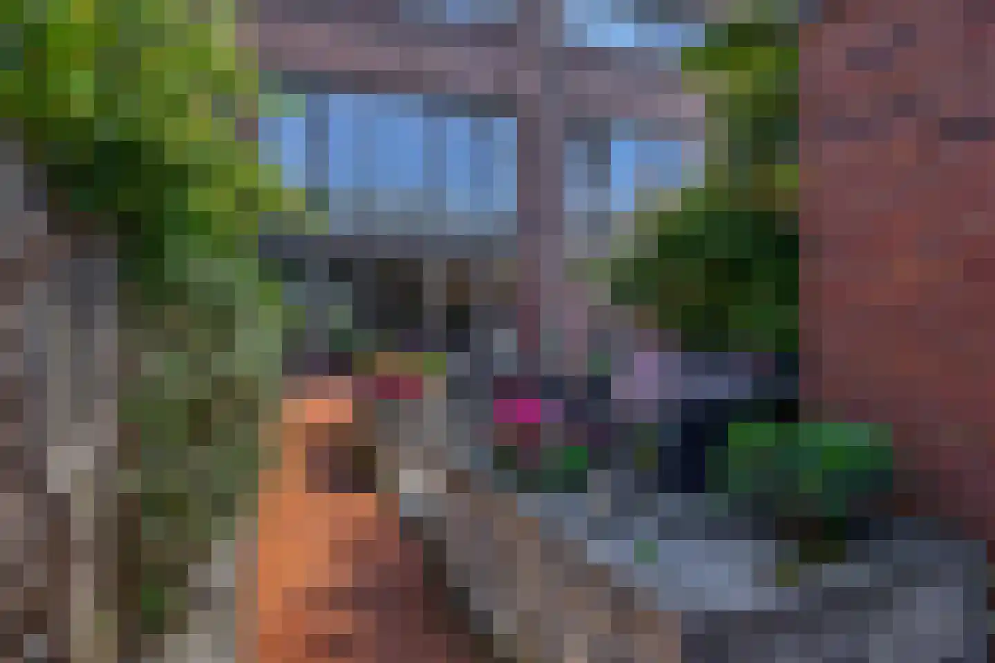Lelietuin 4 Bergschenhoek thumbnail 20