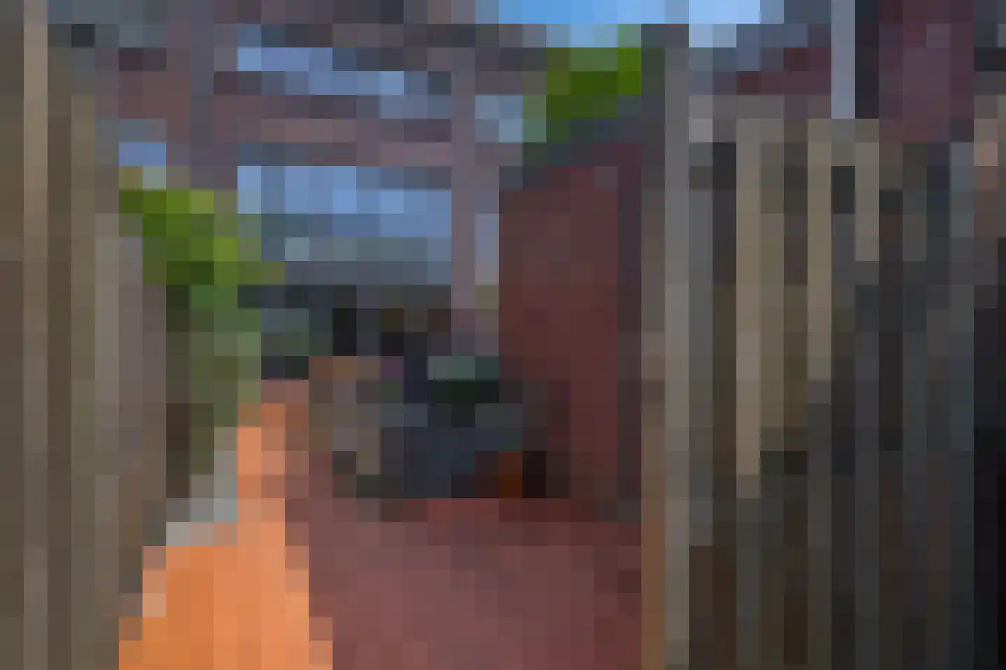Lelietuin 4 Bergschenhoek thumbnail 21