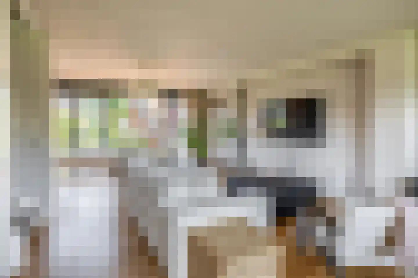 Lelietuin 4 Bergschenhoek thumbnail 27
