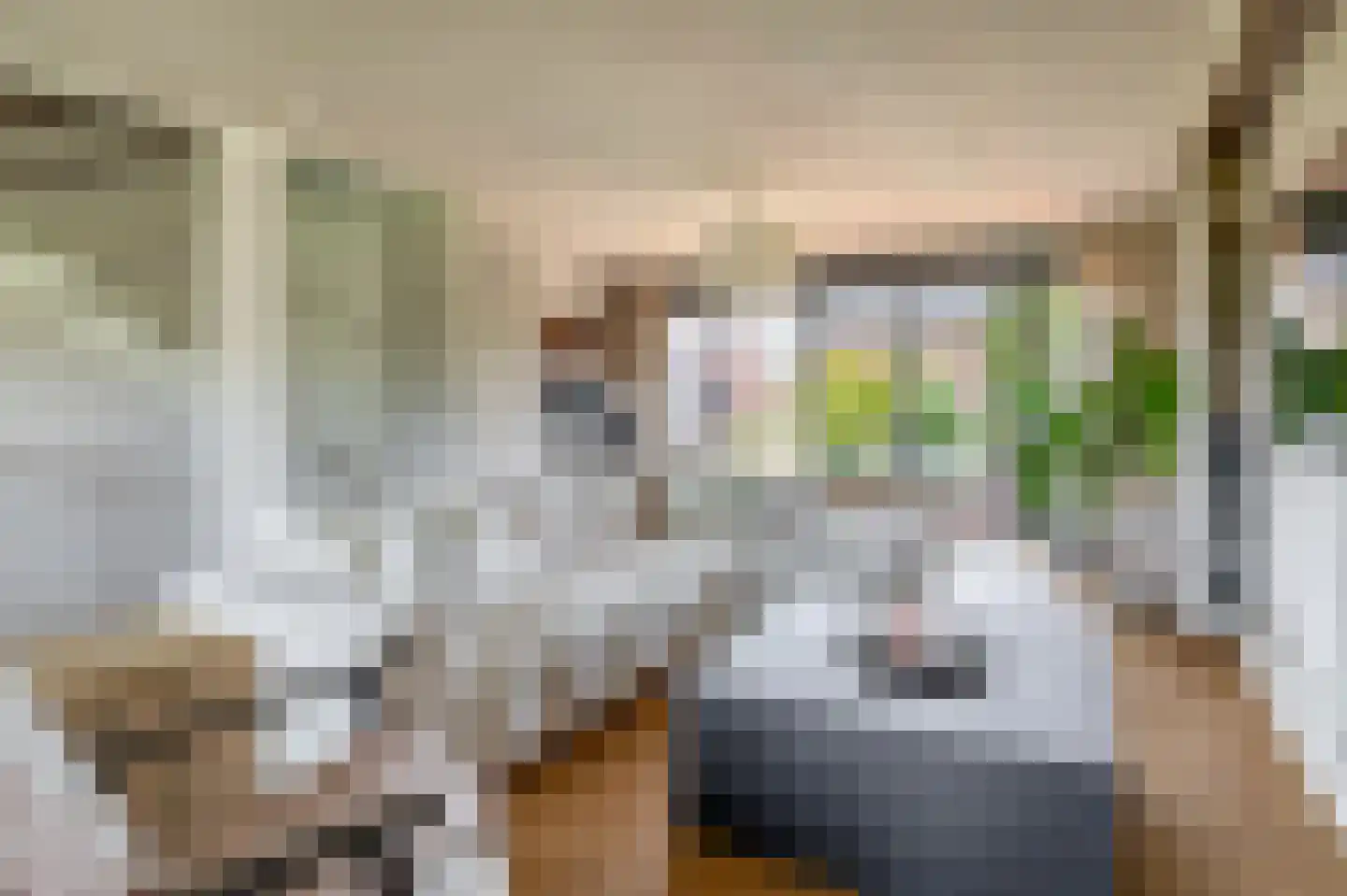 Lelietuin 4 Bergschenhoek thumbnail 28