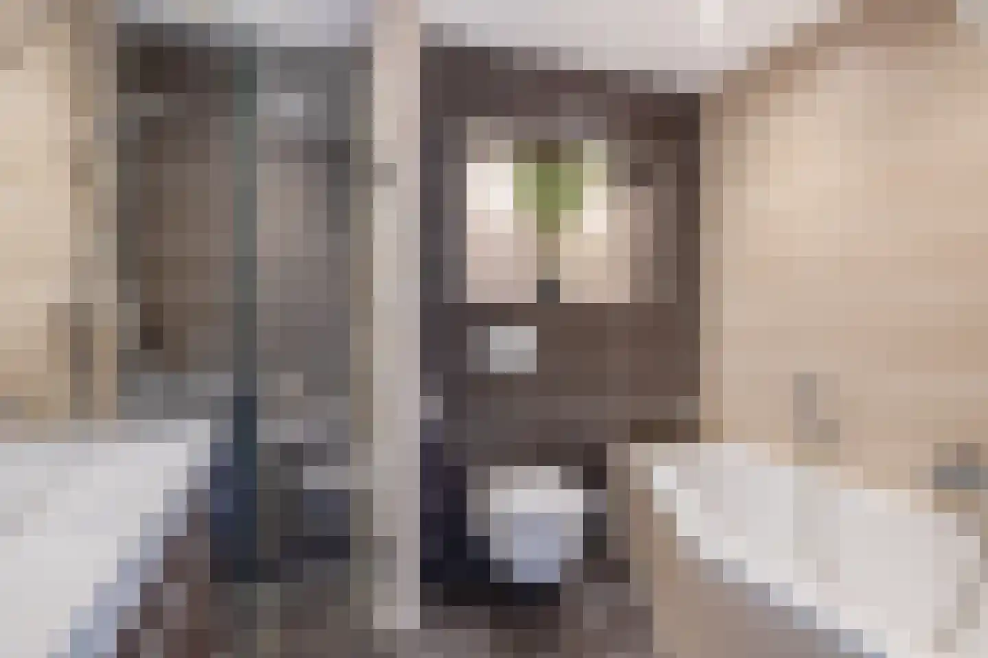 Lelietuin 4 Bergschenhoek thumbnail 37