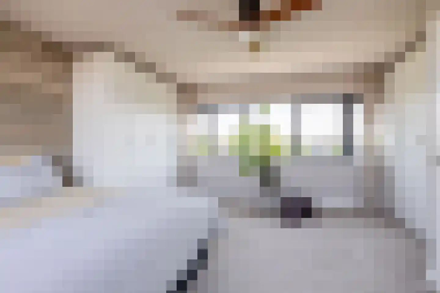 Lelietuin 4 Bergschenhoek thumbnail 43