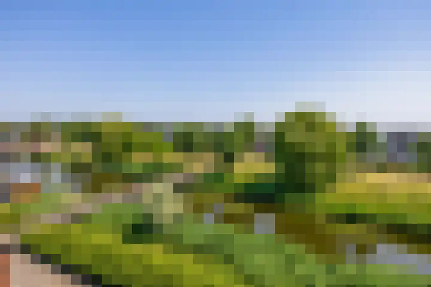 Lelietuin 4 Bergschenhoek thumbnail 49