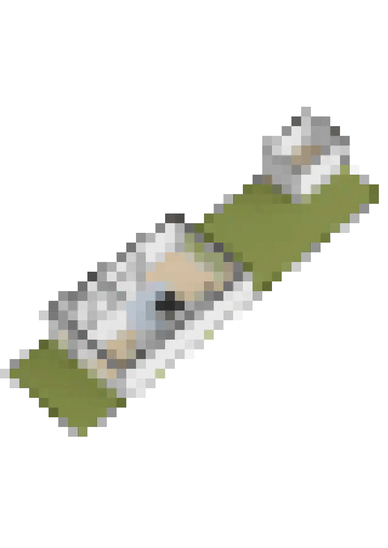 Lelietuin 4 Bergschenhoek thumbnail 63