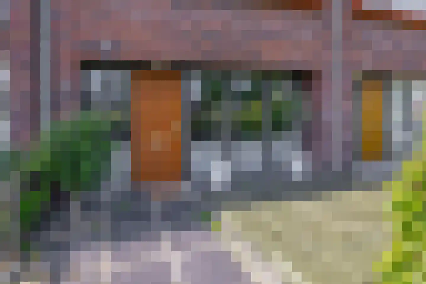Lelietuin 4 Bergschenhoek thumbnail 9