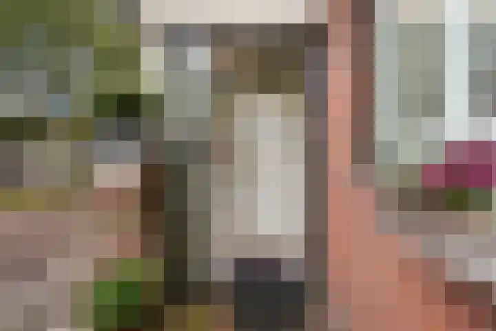 Lelievaart 4 Zoetermeer thumbnail 10