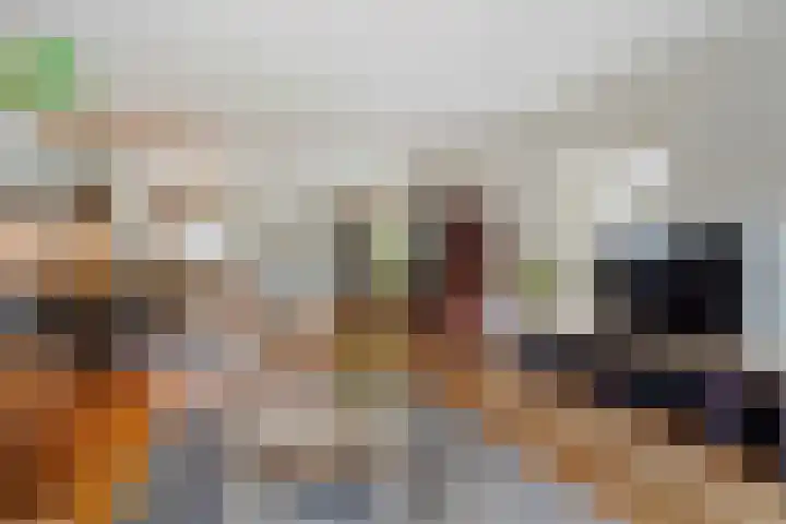 Lelievaart 4 Zoetermeer thumbnail 16