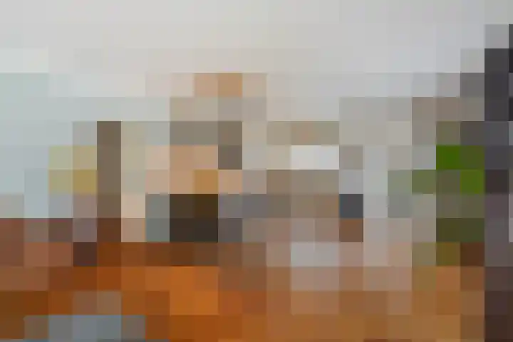 Lelievaart 4 Zoetermeer thumbnail 17