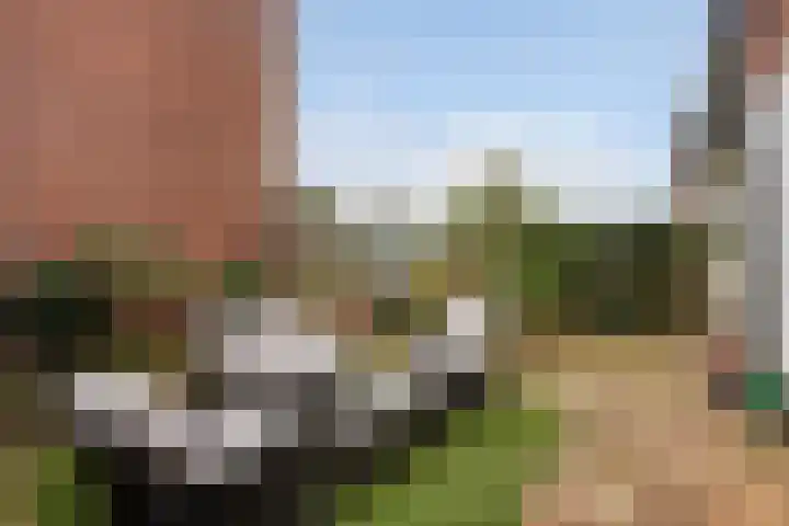 Lelievaart 4 Zoetermeer thumbnail 20
