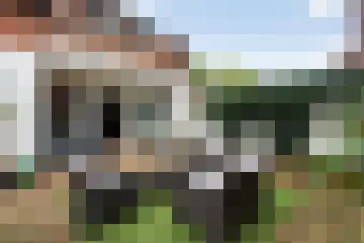 Lelievaart 4 Zoetermeer thumbnail 22