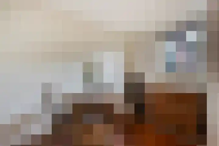 Lelievaart 4 Zoetermeer thumbnail 23