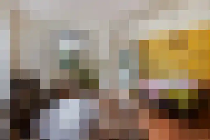Lelievaart 4 Zoetermeer thumbnail 24