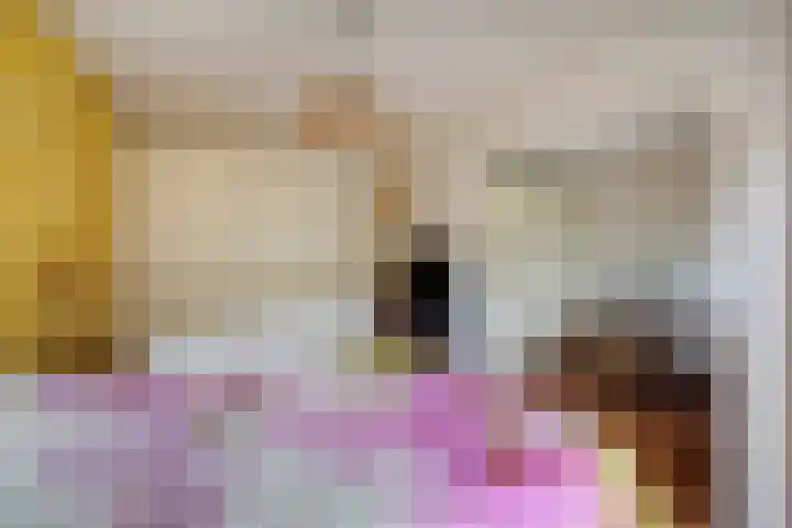 Lelievaart 4 Zoetermeer thumbnail 26