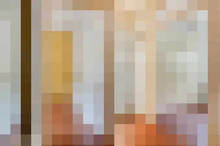 Lelievaart 4 Zoetermeer thumbnail 27