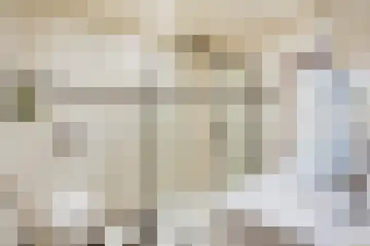 Lelievaart 4 Zoetermeer thumbnail 30