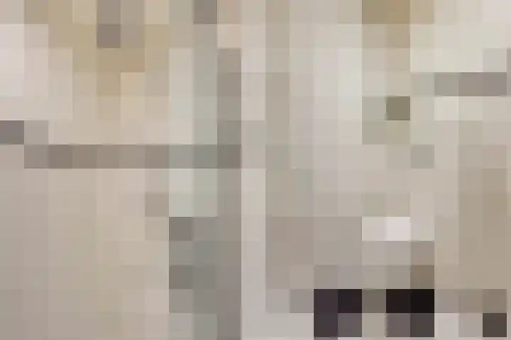 Lelievaart 4 Zoetermeer thumbnail 32