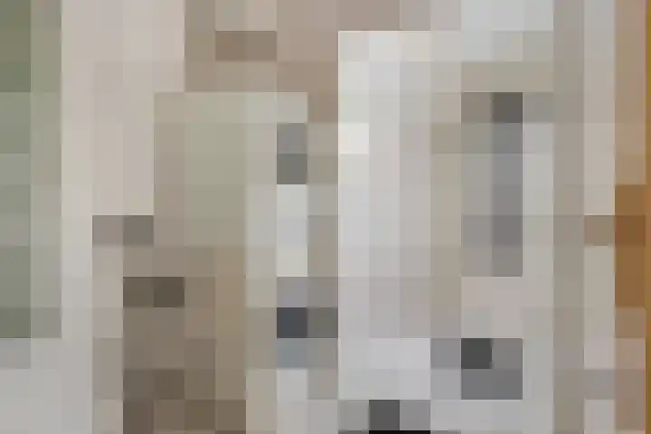 Lelievaart 4 Zoetermeer thumbnail 33