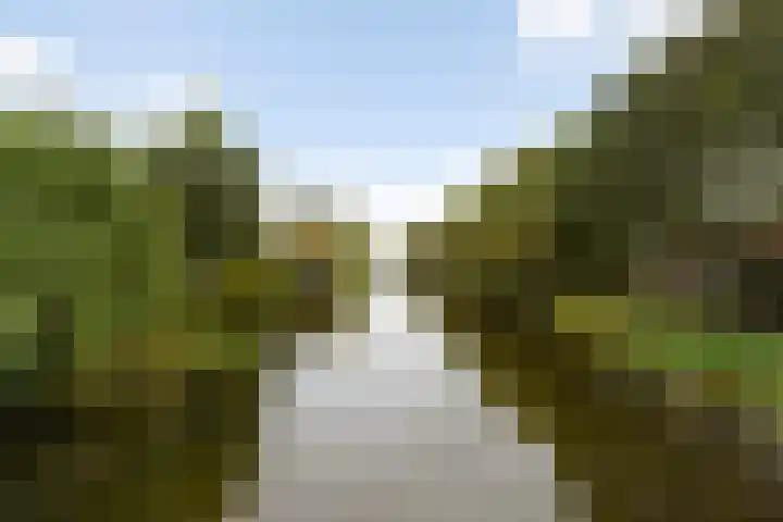 Lelievaart 4 Zoetermeer thumbnail 36