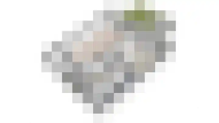 Lelievaart 4 Zoetermeer thumbnail 40
